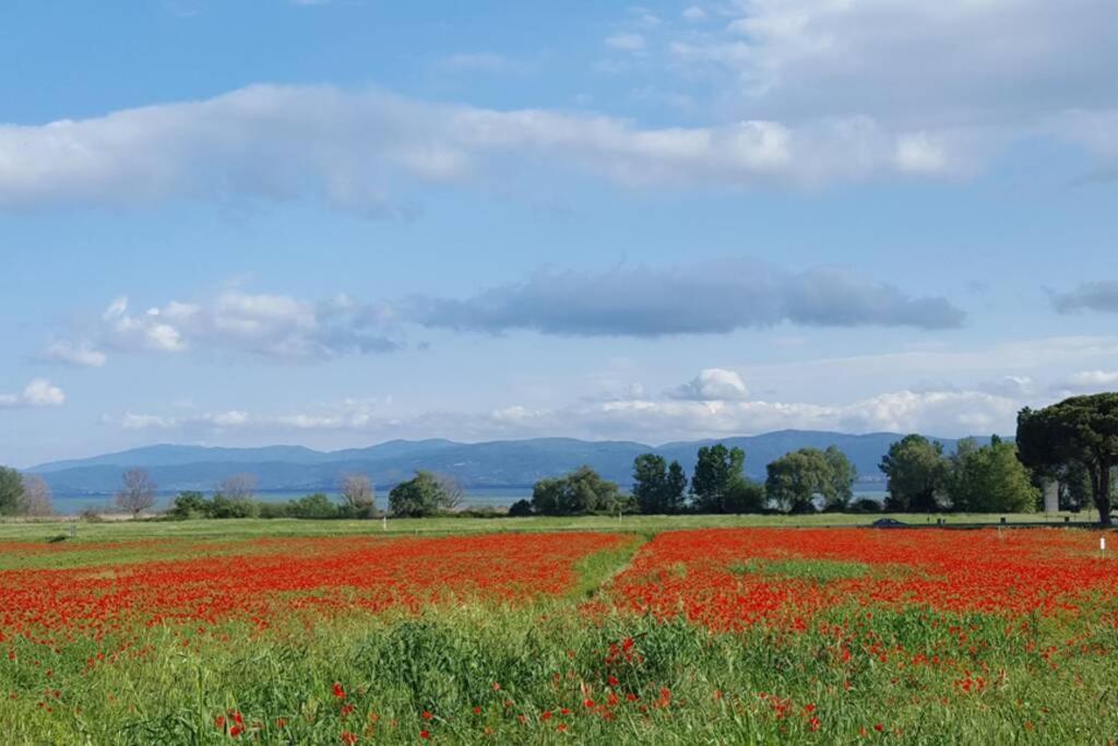 Bellavista La Tua Romantica Vacanza Sul Trasimeno Apartment กัสติลโยเน เดล ลาโก ภายนอก รูปภาพ