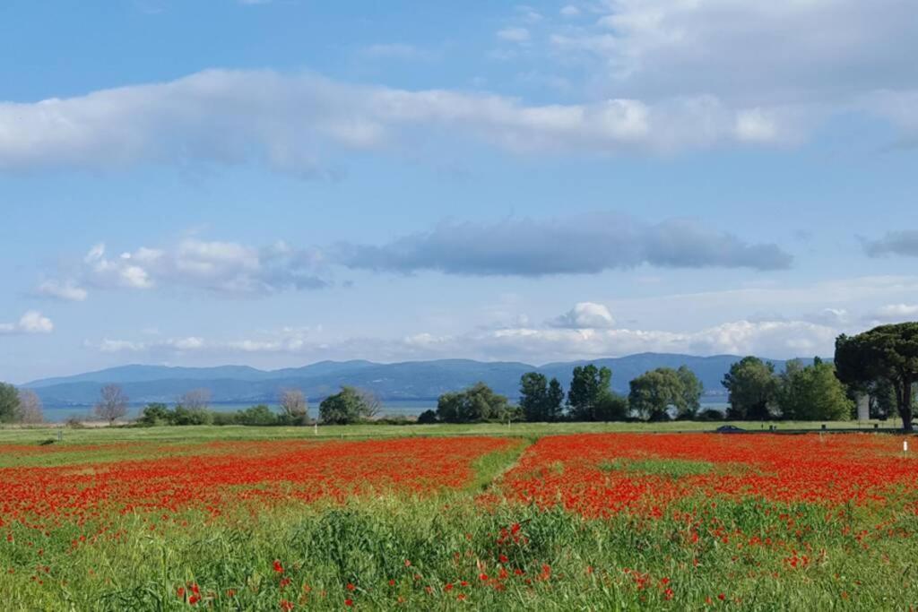 Bellavista La Tua Romantica Vacanza Sul Trasimeno กัสติลโยเน เดล ลาโก ภายนอก รูปภาพ