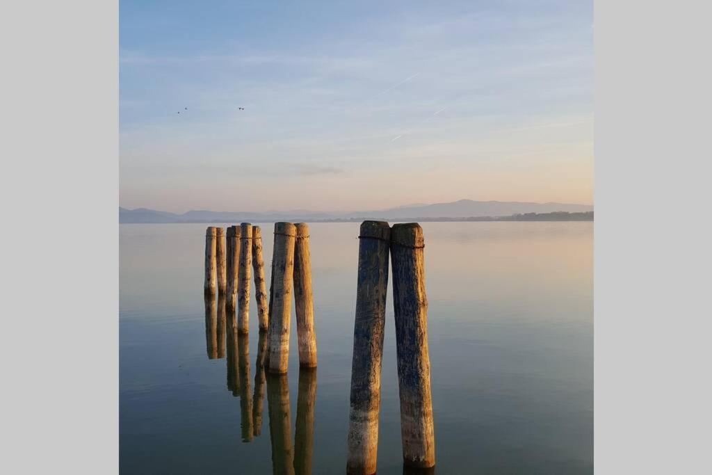 Bellavista La Tua Romantica Vacanza Sul Trasimeno Apartment กัสติลโยเน เดล ลาโก ภายนอก รูปภาพ