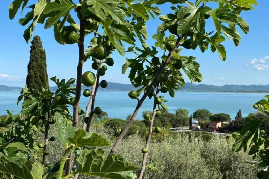 Bellavista La Tua Romantica Vacanza Sul Trasimeno Apartment กัสติลโยเน เดล ลาโก ภายนอก รูปภาพ