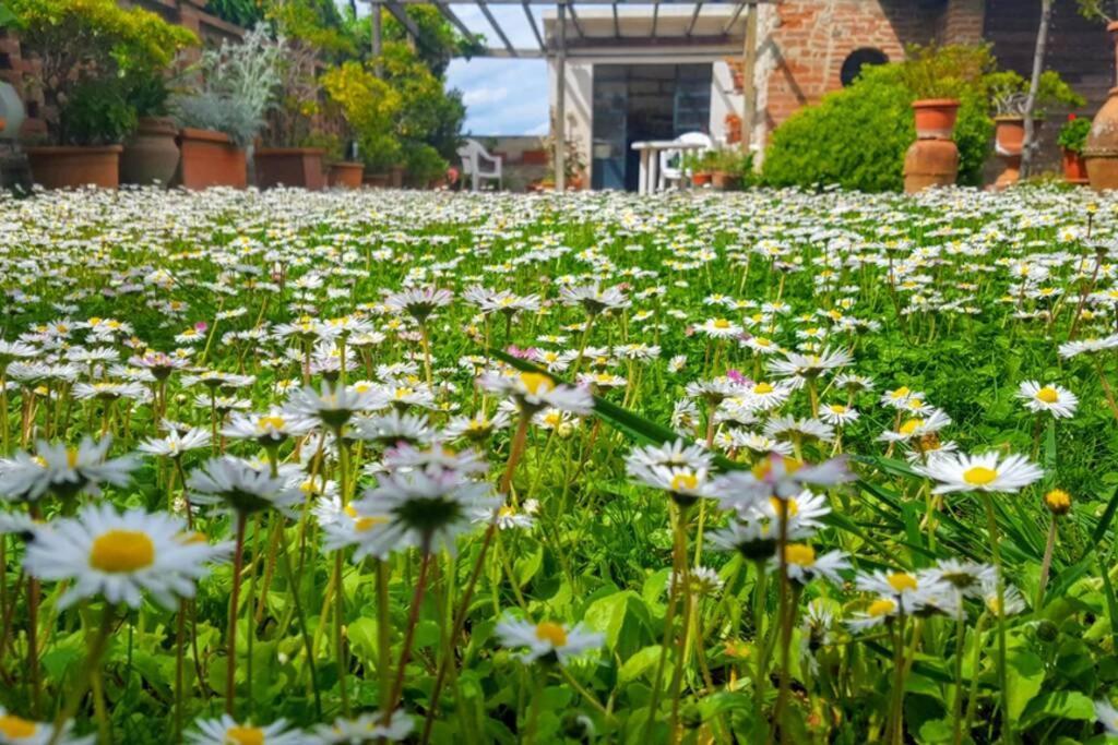 Bellavista La Tua Romantica Vacanza Sul Trasimeno Apartment กัสติลโยเน เดล ลาโก ภายนอก รูปภาพ