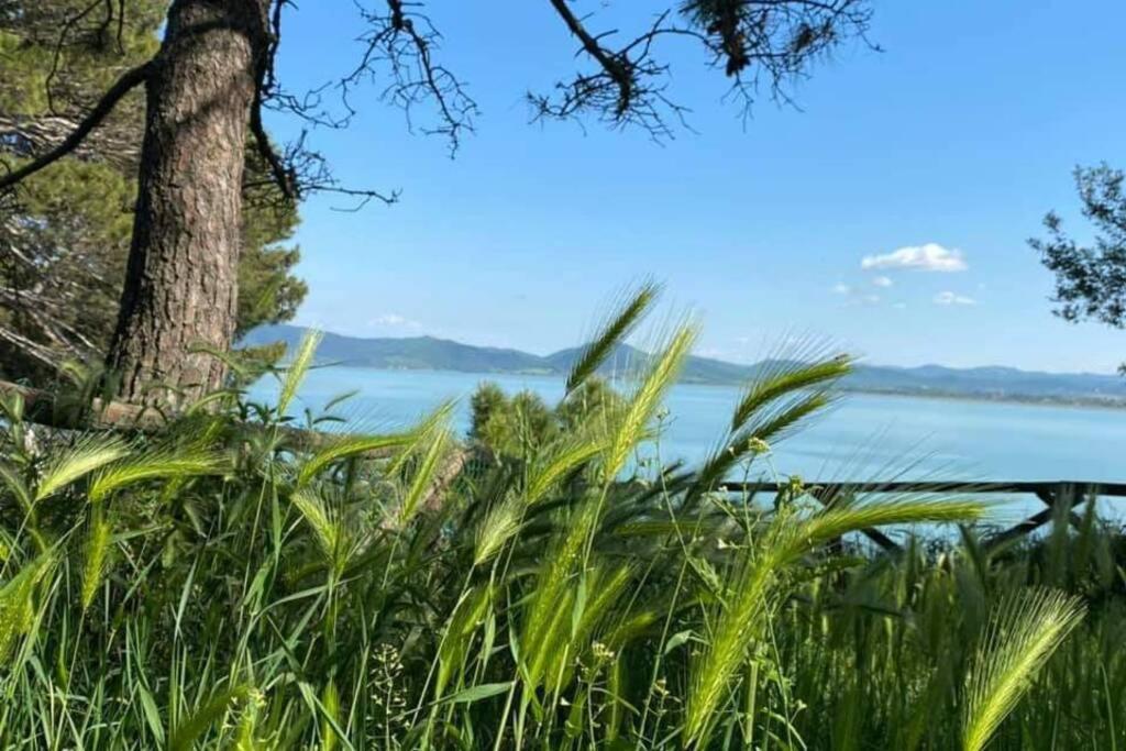 Bellavista La Tua Romantica Vacanza Sul Trasimeno กัสติลโยเน เดล ลาโก ภายนอก รูปภาพ