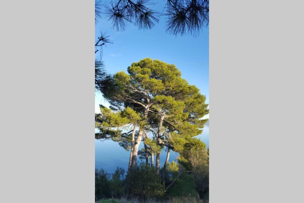 Bellavista La Tua Romantica Vacanza Sul Trasimeno กัสติลโยเน เดล ลาโก ภายนอก รูปภาพ
