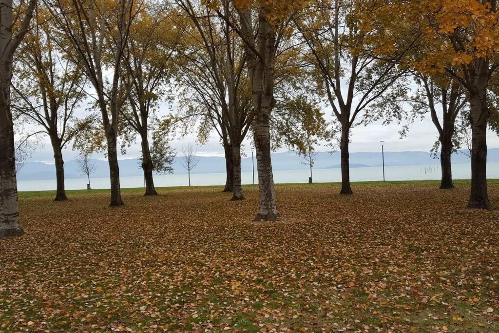 Bellavista La Tua Romantica Vacanza Sul Trasimeno กัสติลโยเน เดล ลาโก ภายนอก รูปภาพ