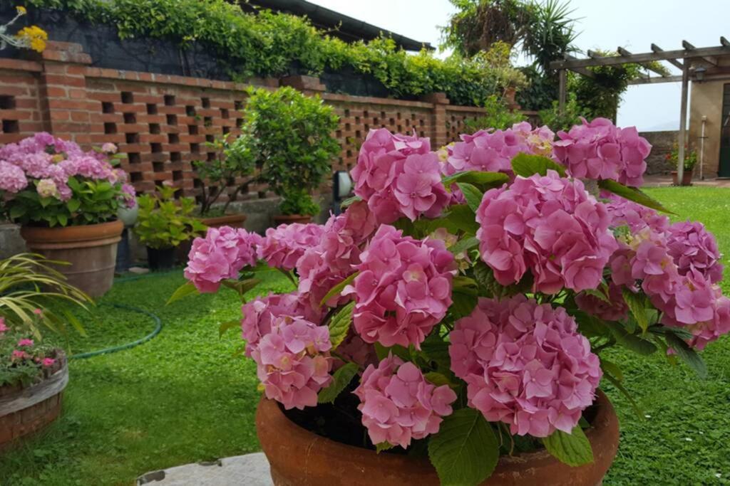 Bellavista La Tua Romantica Vacanza Sul Trasimeno กัสติลโยเน เดล ลาโก ภายนอก รูปภาพ