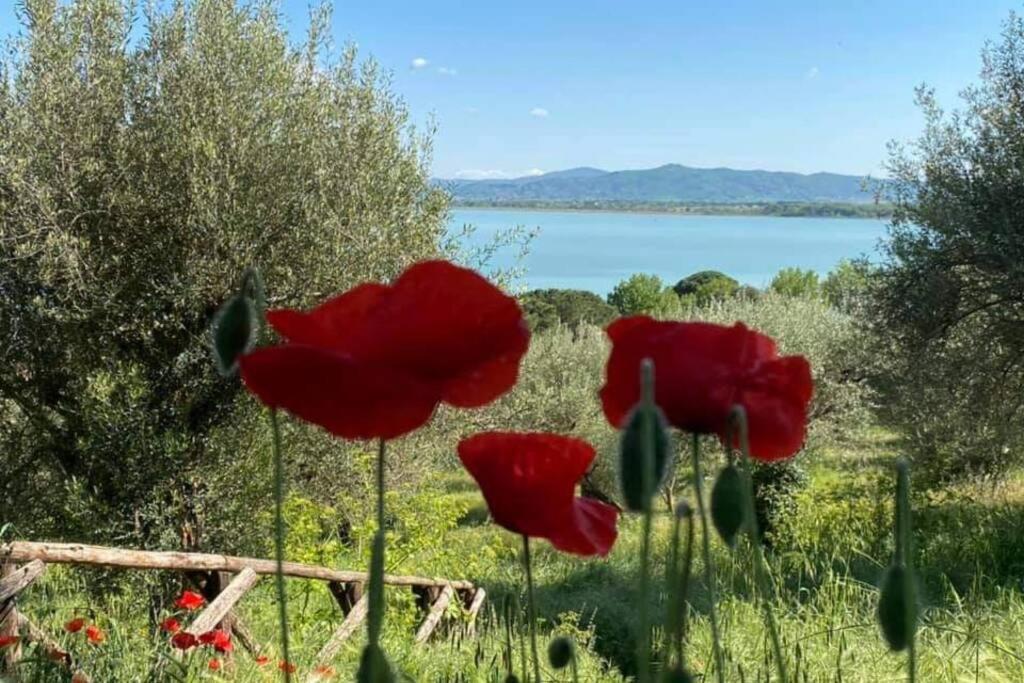 Bellavista La Tua Romantica Vacanza Sul Trasimeno Apartment กัสติลโยเน เดล ลาโก ภายนอก รูปภาพ