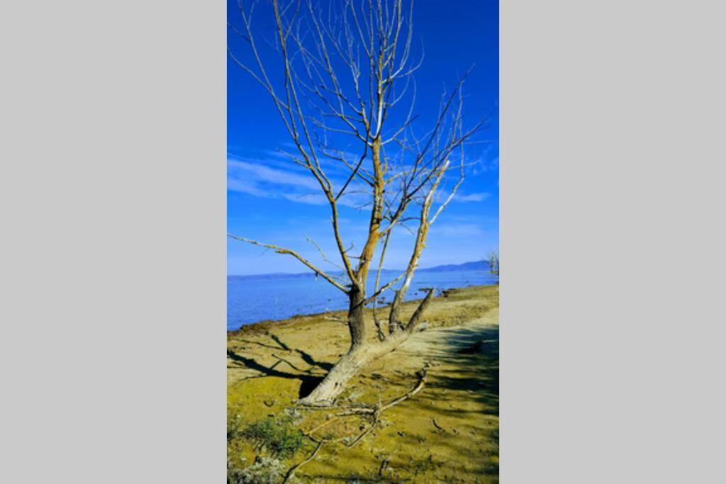 Bellavista La Tua Romantica Vacanza Sul Trasimeno กัสติลโยเน เดล ลาโก ภายนอก รูปภาพ