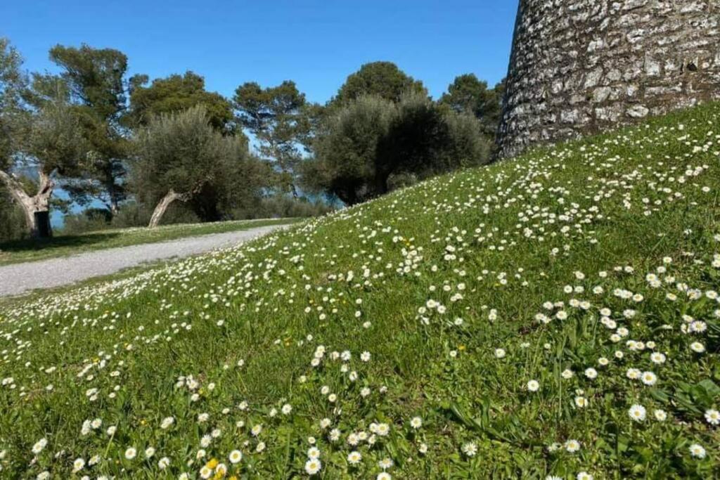 Bellavista La Tua Romantica Vacanza Sul Trasimeno Apartment กัสติลโยเน เดล ลาโก ภายนอก รูปภาพ