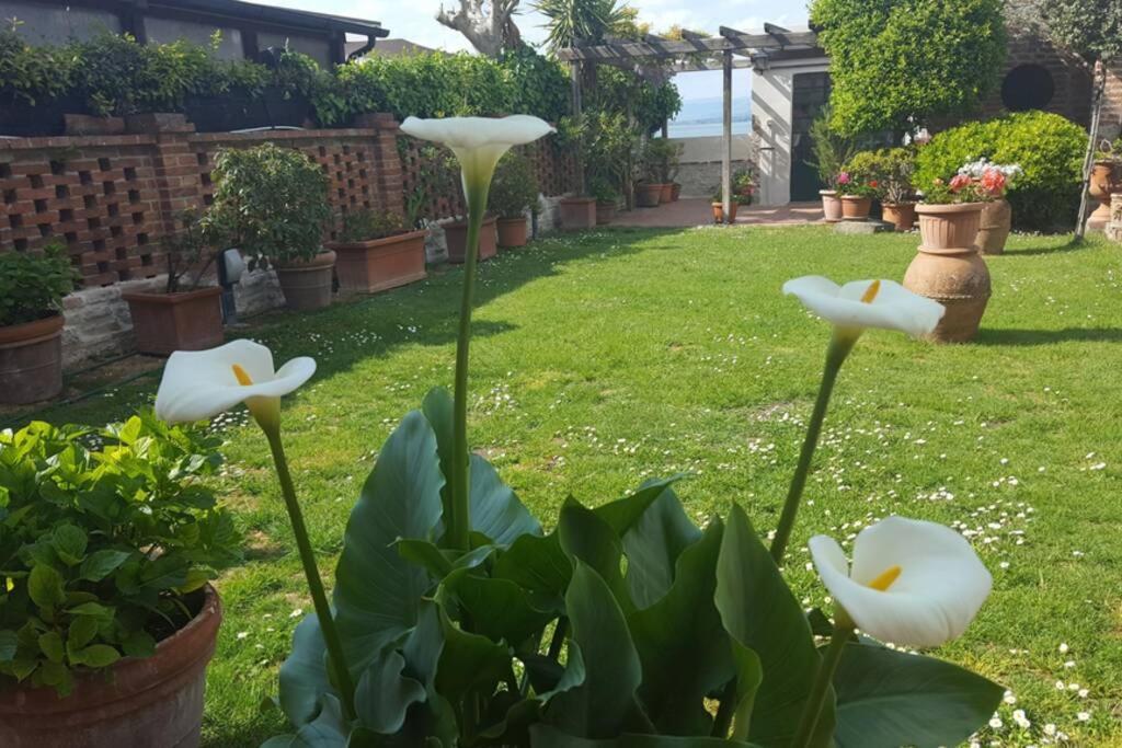 Bellavista La Tua Romantica Vacanza Sul Trasimeno กัสติลโยเน เดล ลาโก ภายนอก รูปภาพ